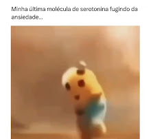 CORTES VÍDEOS – MEMES - Imagem 8