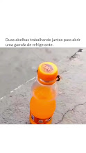.mp4 (5)