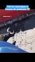 .mp4 (6)
