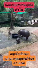 .mp4 (1)